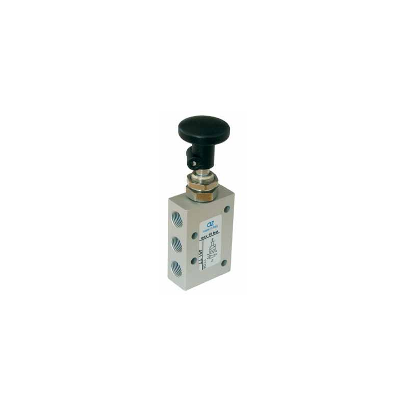 Ventil manual 5/2, alimentare aer G1/8, buton