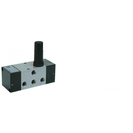 Temporizatoare pneumatice