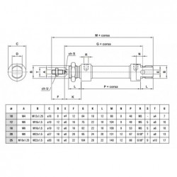 Cilindri pneumatici ISO 6432 M21S3, nemagnetici, dublu efect, amortizat