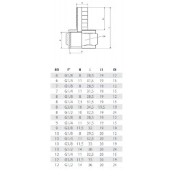 Racord filet interior cu bradut