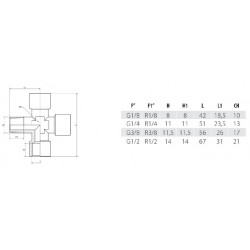 Racord cruce filet 1 exterior - 3 interior