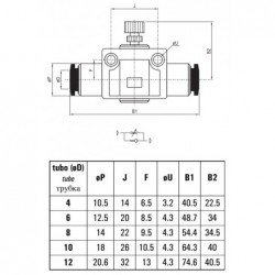 Regulator polimer flux unidirectional