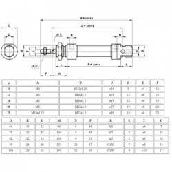 Cilindri pneumatici ISO 6432 M21M3, magnetici, dublu efect, amortizat