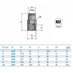 Cuple rapide push-in alama nichelata dretpe fil. int. FPM