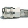 Cuple rapide tata cu arc - MIGNON