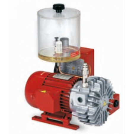 Pompa de Vacuum cu Lubrifiere  VTLP