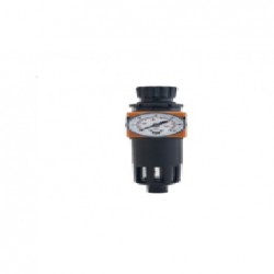 Filtru regulator FR