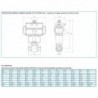 8P000100 Valva 2/2 inox cu actuator dubla actiune, 160 ° C, abur