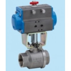 8P000200 Valva 2/2 inox cu actuator simpla actiune, 160 ° C, abur