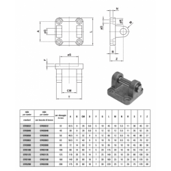 Flansa cu doua urechi de fixare cilindru pneumatic