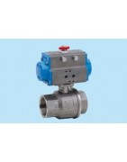 Vane cu actuator